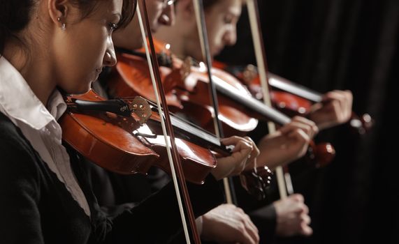 Symphony music, violinists at concert