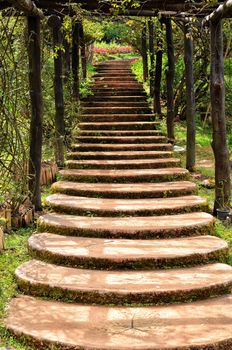 Stairway in garden,ang khang, chiangmai, thailand