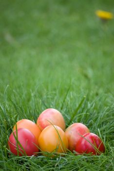 colorful easter eggs on green grass background