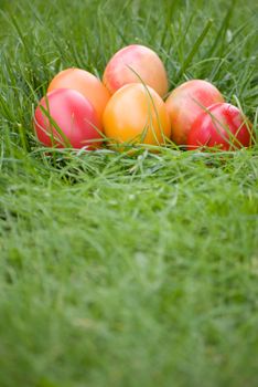 colorful easter eggs on green grass background