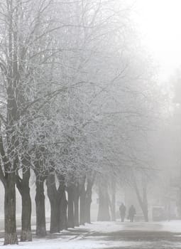 path in town at foggy winter morning