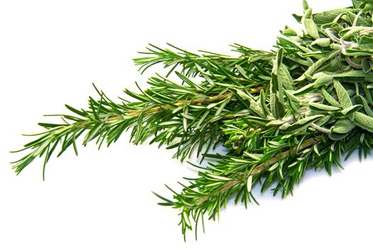sage and rosemary isolated ion white background