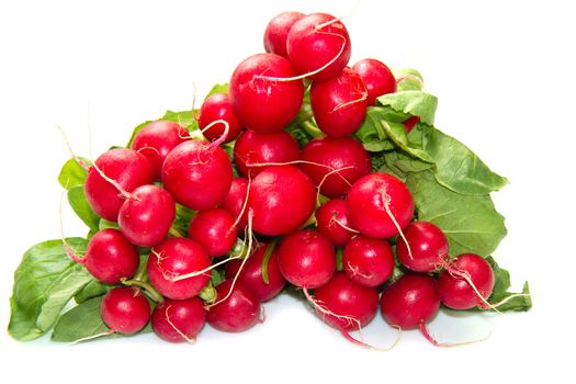 a group of red radishes on white background