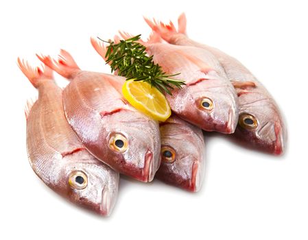 a group of sea bream with lemon and rosemary on white
