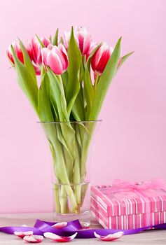 pink and white tulips present ribbon easter birthday symbol festive