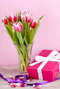 pink and white tulips present ribbon easter birthday symbol festive