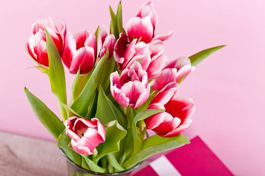 pink and white tulips present ribbon easter birthday symbol festive