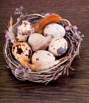 easter decoration with quail eggs on wooden background