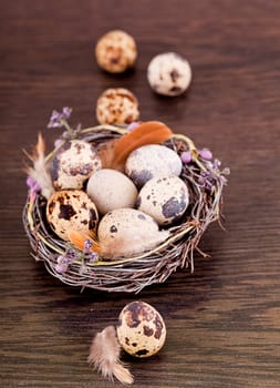 easter decoration with quail eggs on wooden background