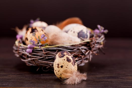 easter decoration with quail eggs on wooden background