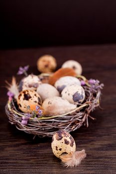 easter decoration with quail eggs on wooden background