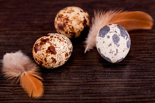 easter decoration with quail eggs on wooden background