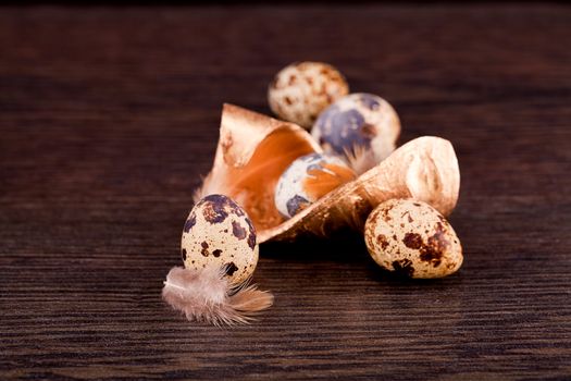 easter decoration with quail eggs on wooden background