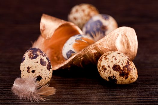 easter decoration with quail eggs on wooden background