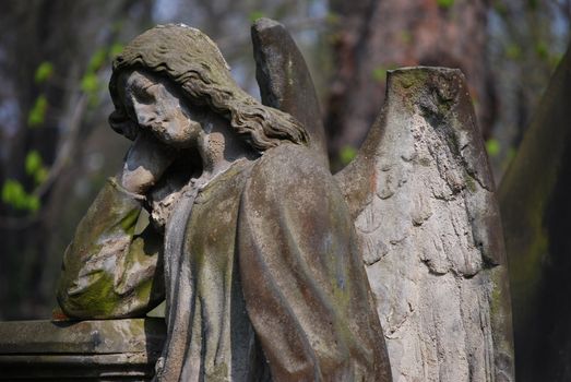 angel