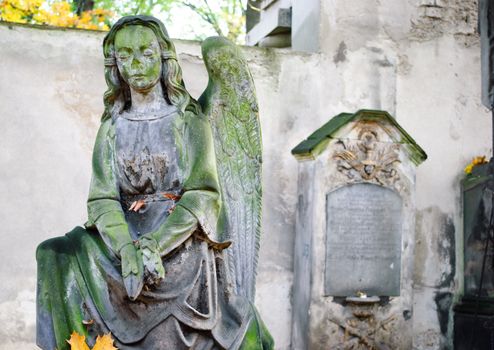 angel