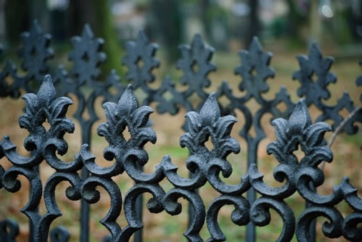 iron fence