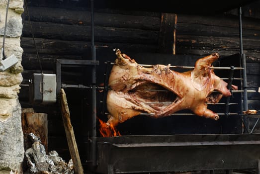 pig