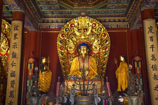 Blue Buddha Altar Offerings Yonghe Gong Buddhist Lama Temple Beijing China Built in 1694, Yonghe Gong is the largest Buddhist Temple in Beijing.  Chinese characters are buddhist sayings.