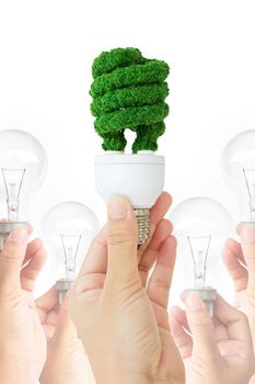 hand holding eco bulb,energy concept