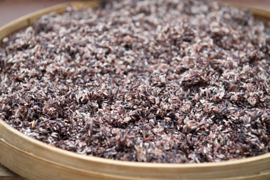 Cooked steam black rice in big wooden plate dish with shallow depth of field