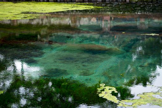 Water welling up from the earth in holy spring in Tirta Empul temple, Bali, Indonesia 