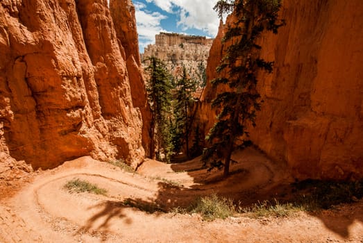 Photograph looking down a very steep hiking trail between two canyon walls with winding switchbacks decending down into the canyon.  Bryce Canyon National Park