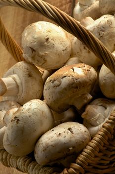 Basket of Perfect Big Raw Champignons Cross Section on Wooden background