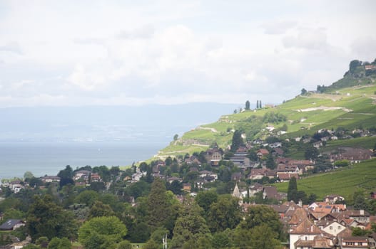 Houses surrounded by Greenery besides Lake Geneva