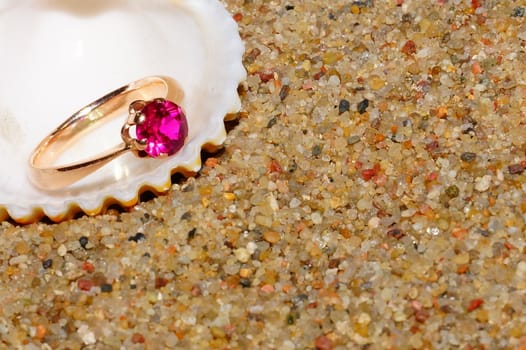 ring and sea shells on a sand