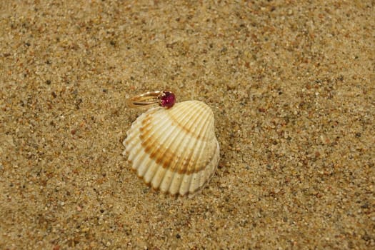 ring and sea shells on a sand