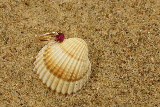 ring and sea shells on a sand