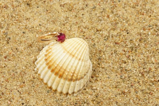 ring and sea shells on a sand