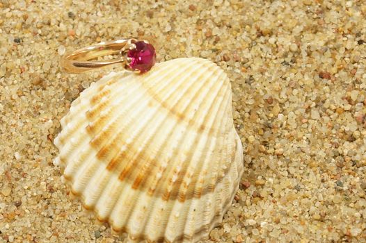 ring and sea shells on a sand