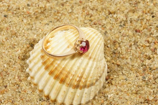 ring and sea shells on a sand