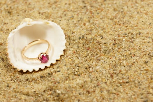 ring and sea shells on a sand