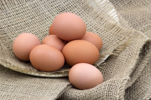 eggs