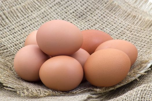 eggs