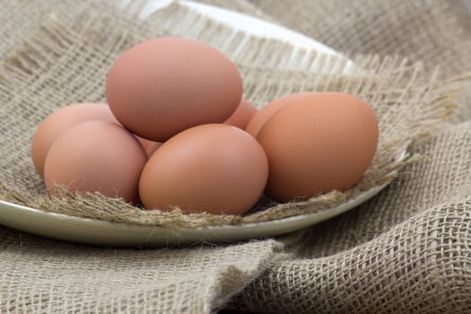 eggs