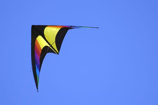 kite in a blue sky