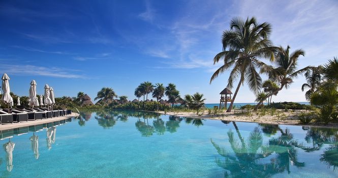 Poolside with the ocean in the background at a tropical resort.