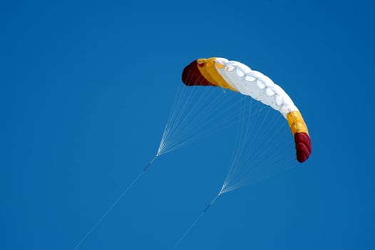 kite in a blue sky