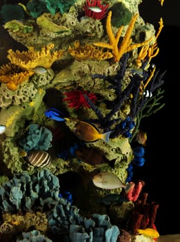 Tropical fish and colorful coral underwater