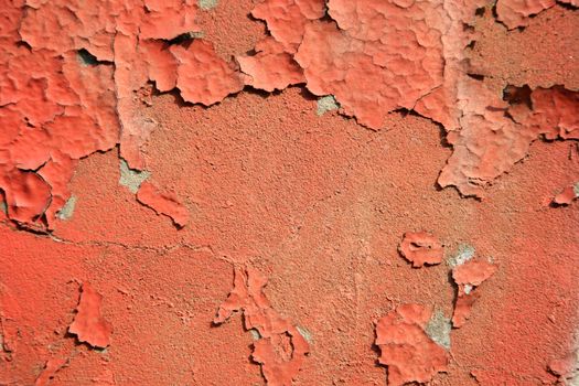 graffiti and  on an old wall