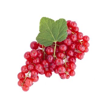 Fresh red currants isolated on white background, fruits