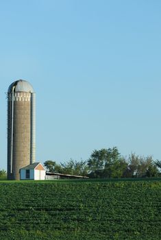 Farm with soy beans and silo in the country in rural america