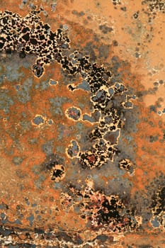 close up burned car on a parking in denmark

