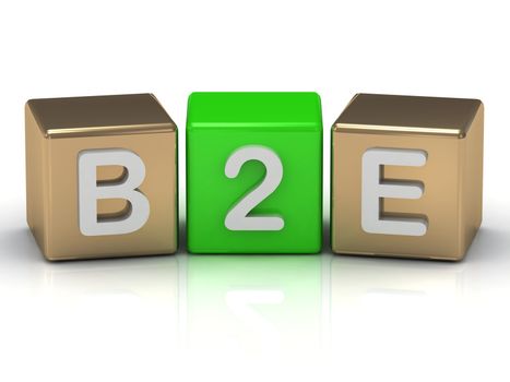 B2E Business to Employee symbol on gold and green cubes on white background