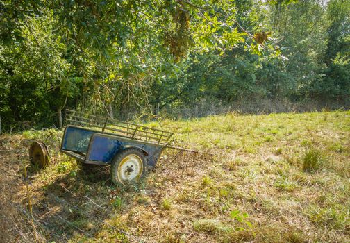 Vintage farm wagon alone in the field