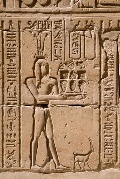 Closeup on ancient hieroglyphs in egyptian temple